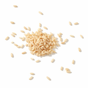 Hydrolyzed Rice Protein