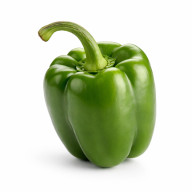 Capsicum